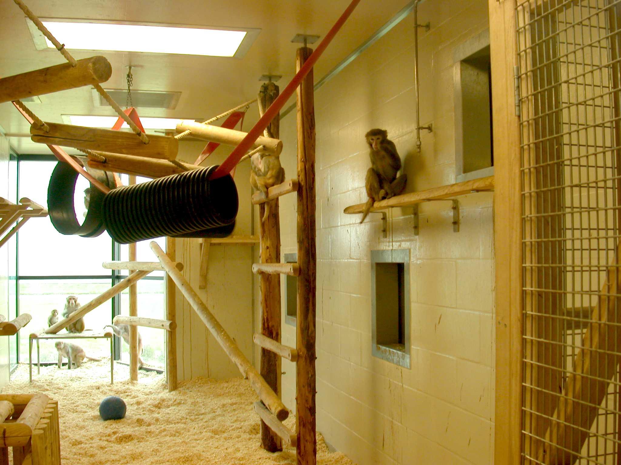 Housing | Macaques